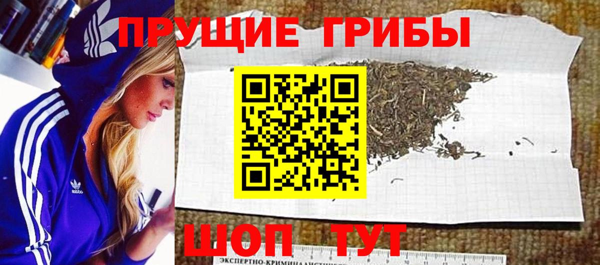 Псилоцибиновые грибы мухоморы  Вход с VPN  цены   Киселёвск 